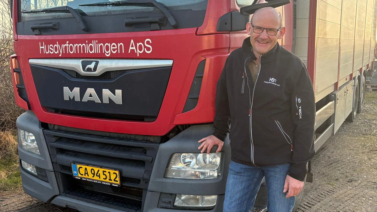 Mogens Hymøller fra Husdyrformidlingen ApS håber, at flere mælkeproducenter vil lade deres status 1-kalve blive i landet, da efterspørgslen fra slagtekalveproducenterne begynder at overstige det nuværende udbud af kalve. Fotos: Husdyrformidlingen ApS