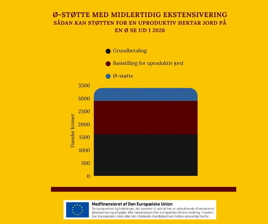 Sådan kan økonomien for en hektar på et ø-landbrug se ud, hvis man får støtte fra bioordningen »midlertidig ekstensivering«.