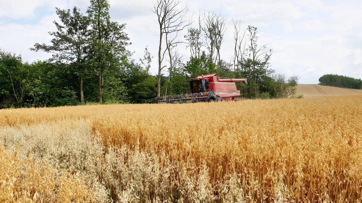 251 søgte etableringsstøtte sidste år.