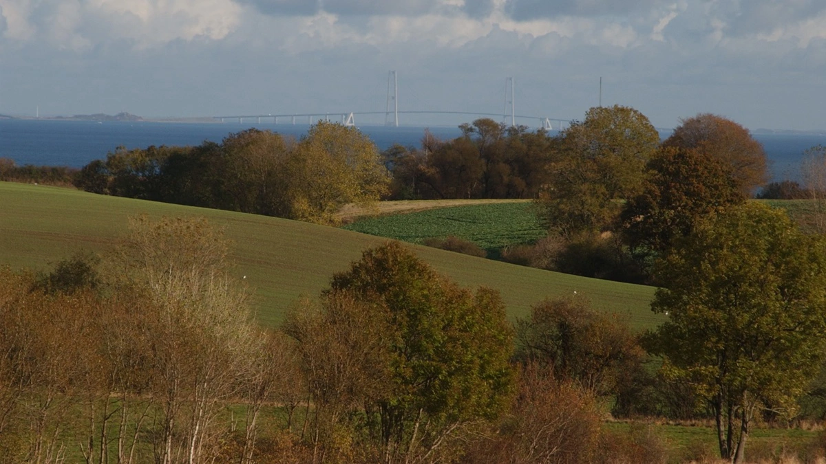 Svenske politikere advarer om, at den nuværende beregningsmetode for fødevarers klimaemission og - reduktion kan få negativ for EU og dermed verdens fødevareforsyning, og at den derfor bør laves om. Arkivfoto