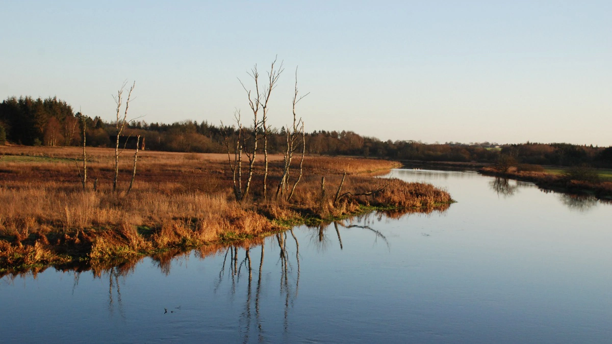 Det er nu muligt at gå hele vejen rundt om Gudenåen på en nyoprettet vandresti. Arkivfoto
