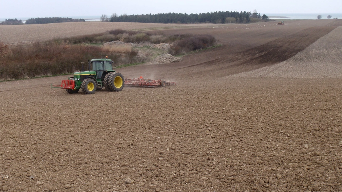 Debatten om nitrat handler i høj grad om, hvordan omkostningerne ved at reducere indholdet i drikkevand beregnes. Arkivfoto: Jørgen P. Jensen