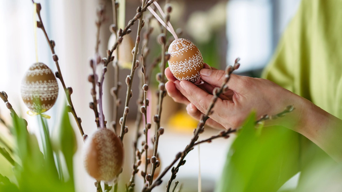 Påskeæg symboliserer forårets komme og opstandelsen. Det dekorative påskeris, som nu er pynt på påskebordet, var oprindeligt brugt til piskning for at minde om Jesu smerte inden korsfæstelsen. Foto: Colourbox