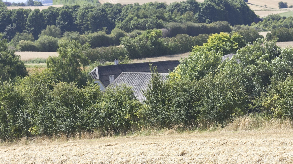 Livet på landet afhænger ifølge Sven Joensen ikke så meget af landbrugenes størrelse, men om tilknytningen til stedet. Arkivfoto