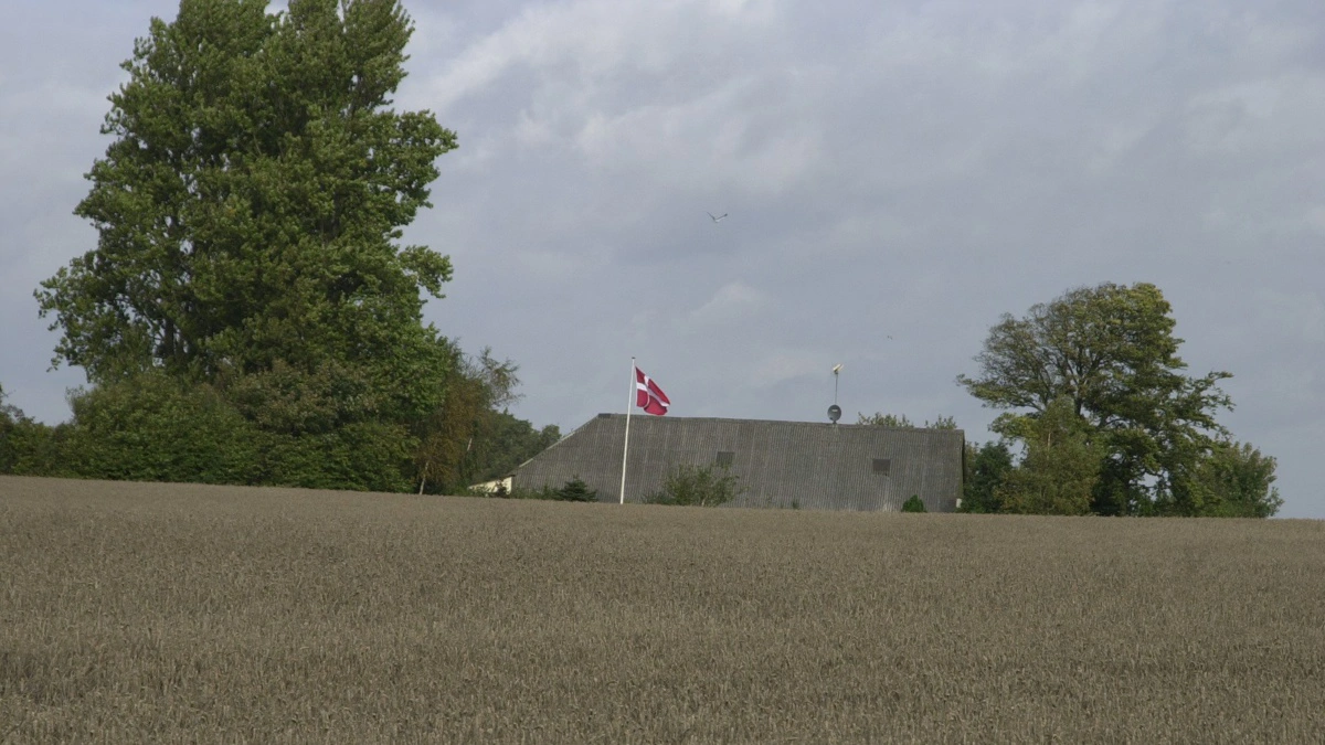 Læserbrevsskribenterne efterlyser, at L&F begynder at tage vare på den danske landmand. Arkivfoto