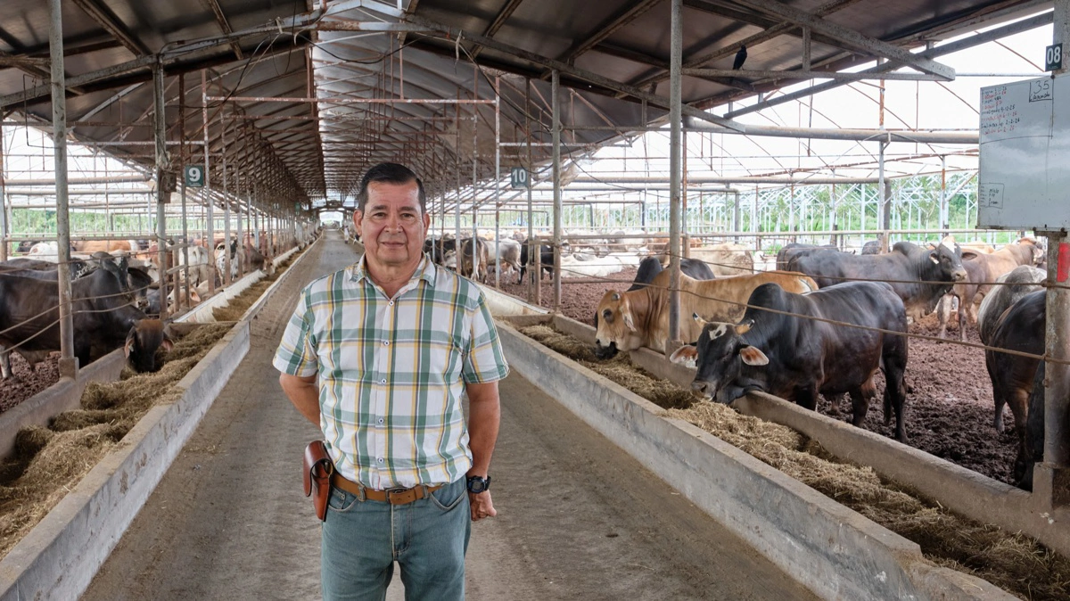 Gerardi Vargas A. er dyrlæge hos Ganaderia Colono Real S.A. Det blandt andet hans ansvar at sørge for en lav dødelighed med forebyggende behandlinger. Fodergangen her er en kilometer lang. Fotos: Niels Damsgaard Hansen