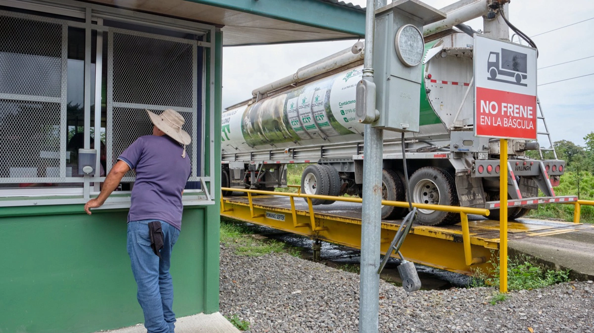 På brovægten indvejes blandt andet foder, som registreres af medarbejdere, som chaufføren snakker med her. 