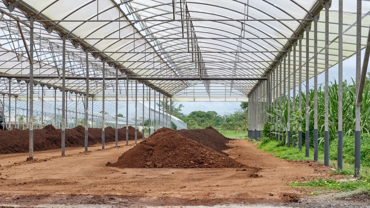 En blanding af møg og savsmuld er ved at blive komposteret.