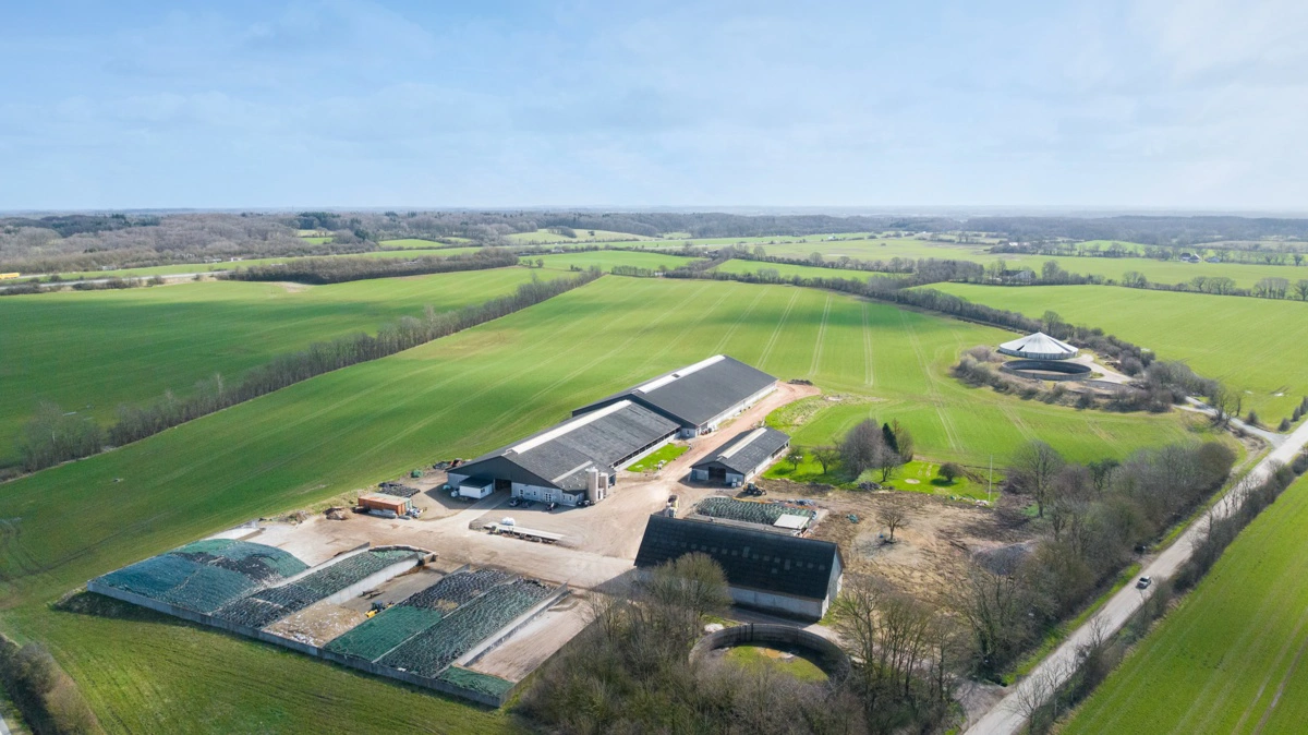 Årslevgård ved Rødekro er en mælkeproduktion med tre driftsenheder og tilhørende arealer, som nu er sat til salg – med mulighed for at købe jord og bygninger hver for sig.
Fotos fra salgsopstillingen: Frejs Landbrug og Projektudvikling
