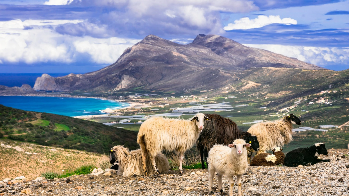 I svindelsagen i Grækenland er der fundet eksempler på, at landmænd har fået støtte til arealer, hvor man ikke kan drive landbrug, blandt andet i bjergrigt terræn. Billedet her er et arkivfoto, der ikke har noget med den konkrete sag at gøre. Arkivfoto: Colourbox