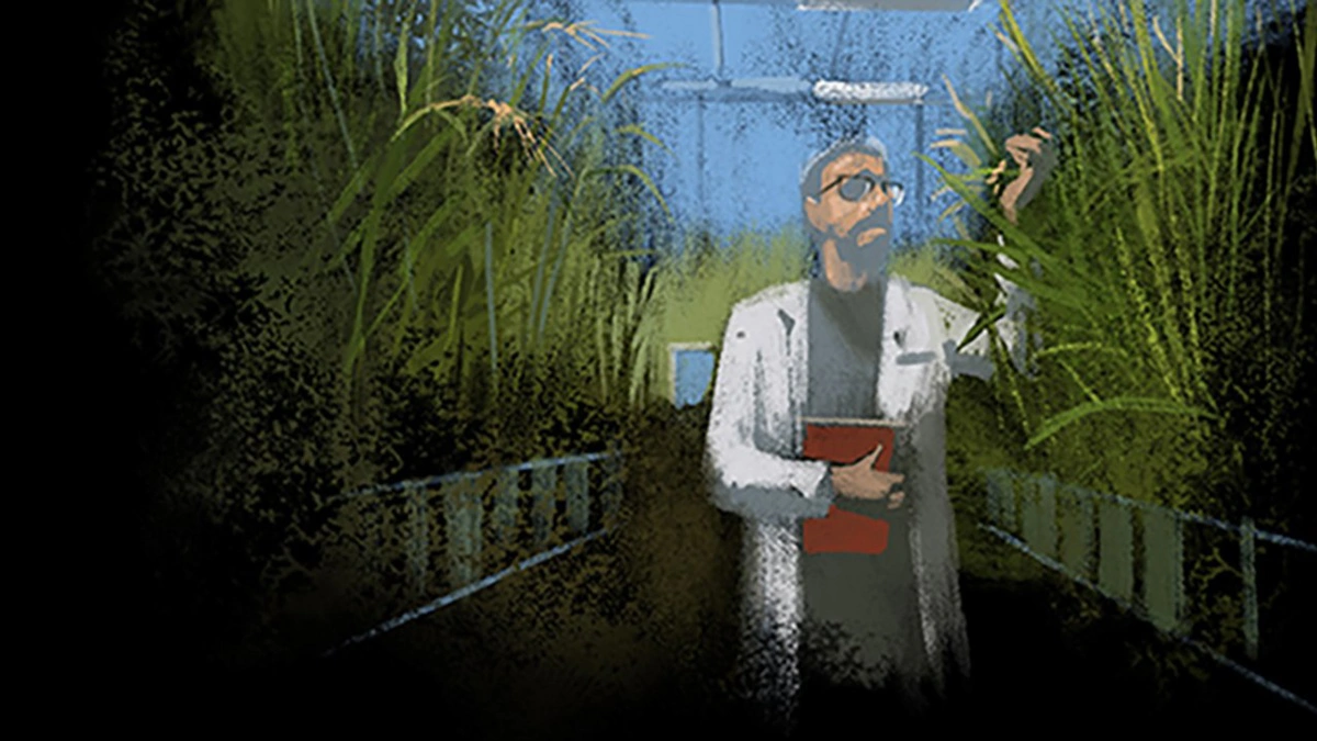 Illustration: Aarhus Universitet