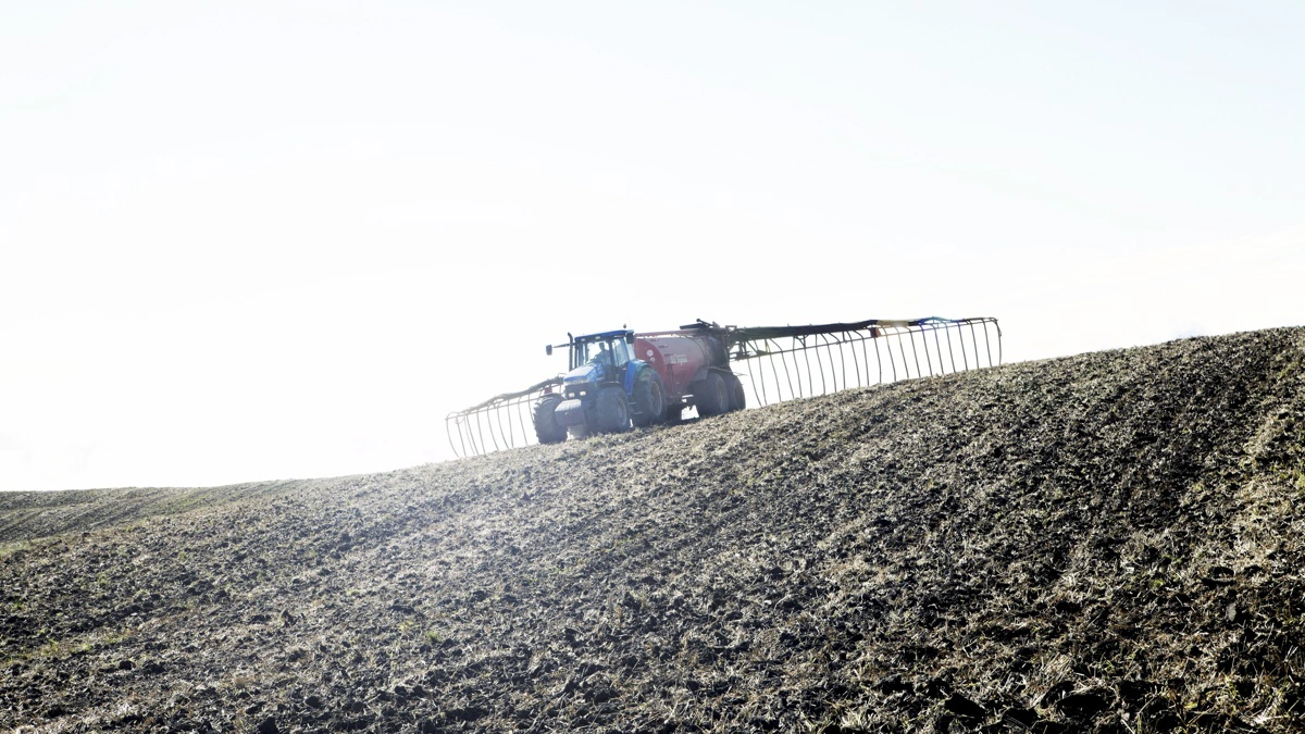 Kritik af en central beregning i en nitrat-rapport rejser spørgsmål om, hvilke tiltag der er billigst for at reducere nitrat i drikkevand. Arkivfoto