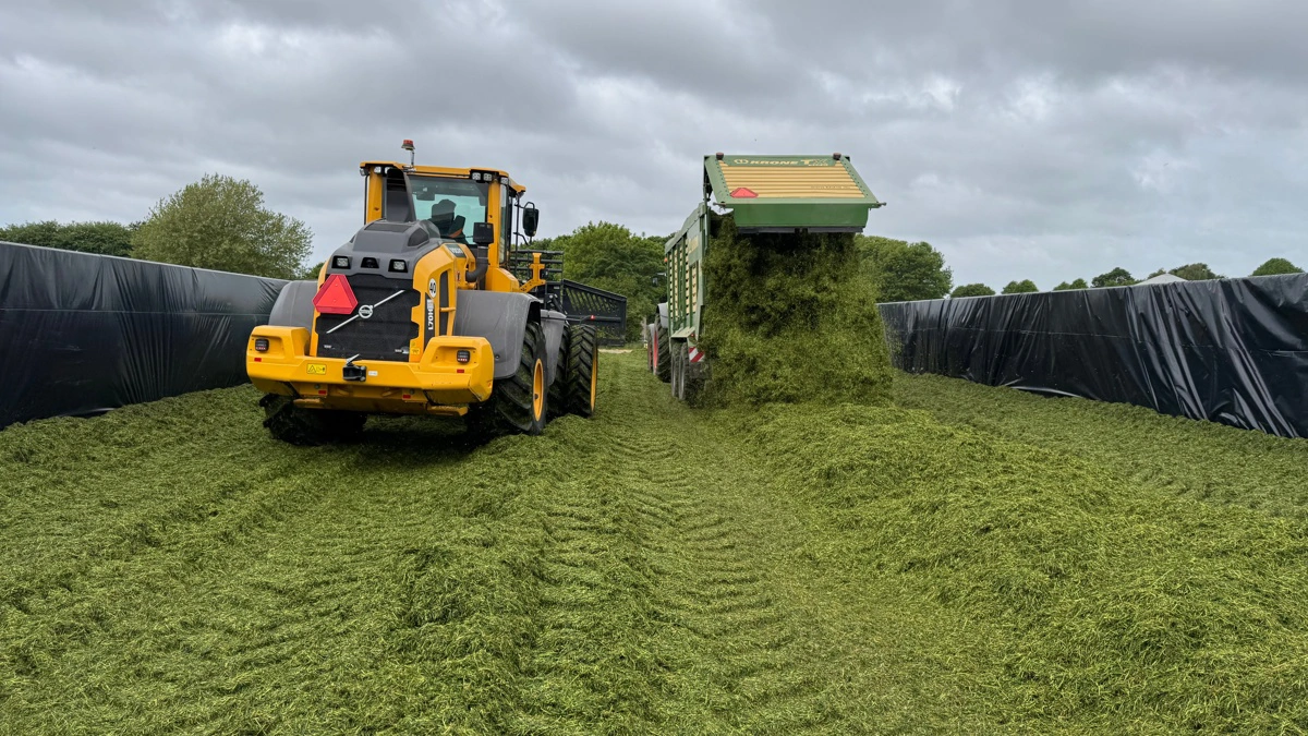 Der er mange knapper at skrue på, når det kommer til at optimere kvaliteten og mængden af det græs, man lægger i siloen året igennem. Arkivfoto: Kasper Stougård 