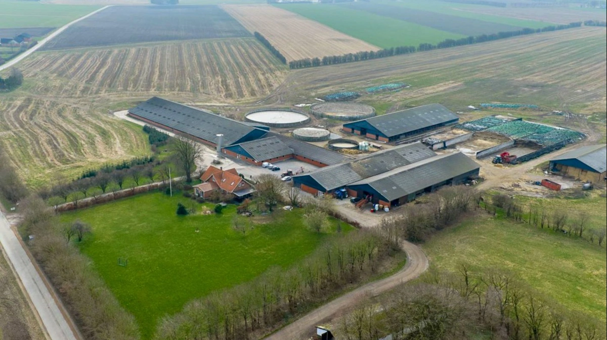 Den udbudte kvægbedrift omfatter omkring 400 hektar jord, hvoraf hovedparten ligger samlet omkring gården.
