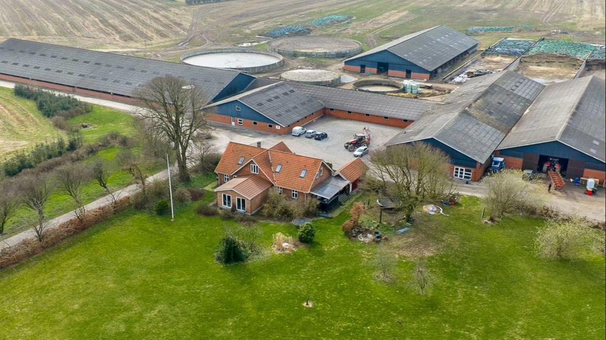 Hovedejendommen på Djursland rummer stalde, gylletanke og foderanlæg, hvor alle dyr er samlet ét sted. Fotos fra salgsmaterialet: Agriteam Bernt Villadsen ApS
