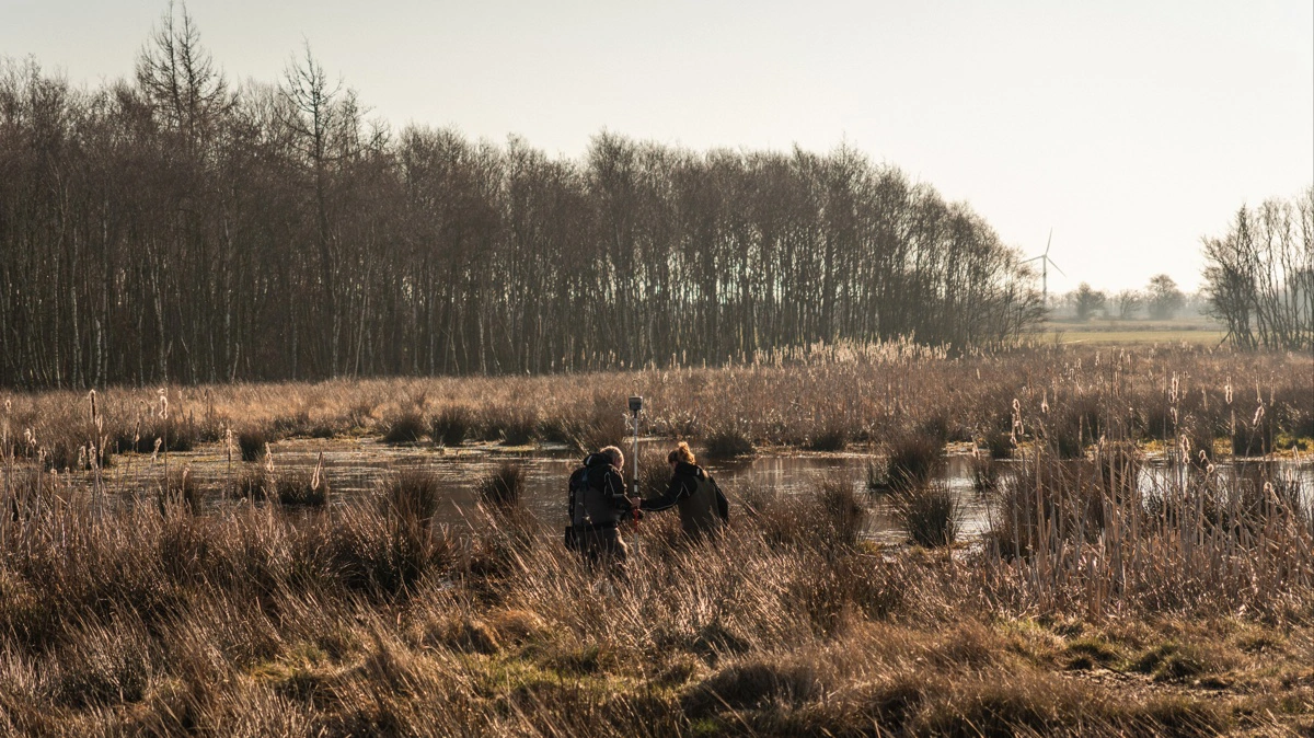 Vådområder og lavbundsprojekter er centrale i den grønne trepart. Med nye hensigtserklæringer kan effekten i nogle tilfælde tælle med i kvælstofreguleringen, før projekterne er gennemført. Arkivfoto: Varde kommune