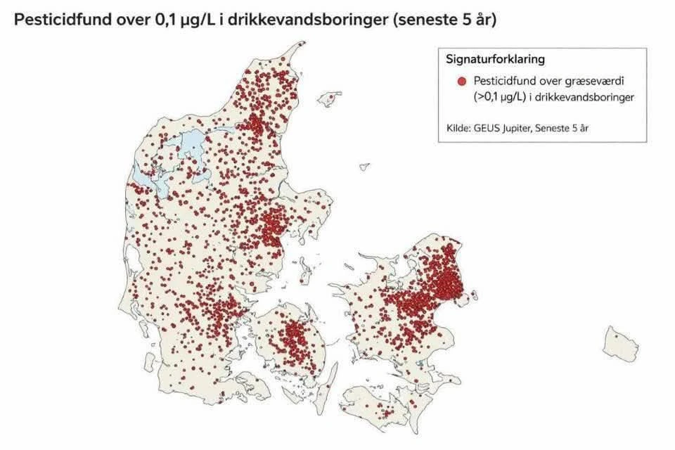 Illustration vedlagt af Bente Andersen.