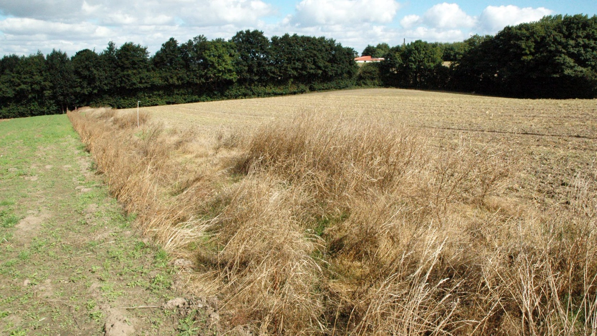 Et lovudkast om nye digeregler risikerer at svække lodsejernes retssikkerhed, lyder kritikken fra Bæredygtigt Landbrug. Arkivfoto: John Ankersen