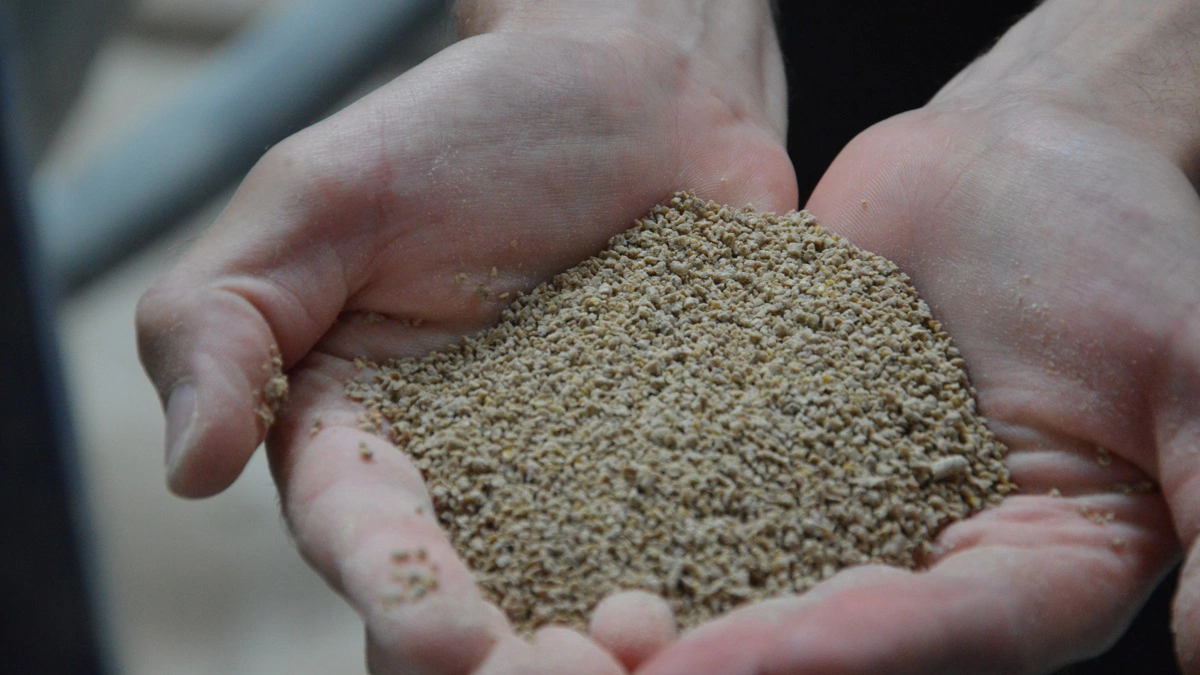 Ifølge Wasde-rapporten er forbruget af sojaskrå fortsat højt, især drevet af en stabil efterspørgsel fra husdyrproduktionen. Arkivfoto: Camilla Bønløkke