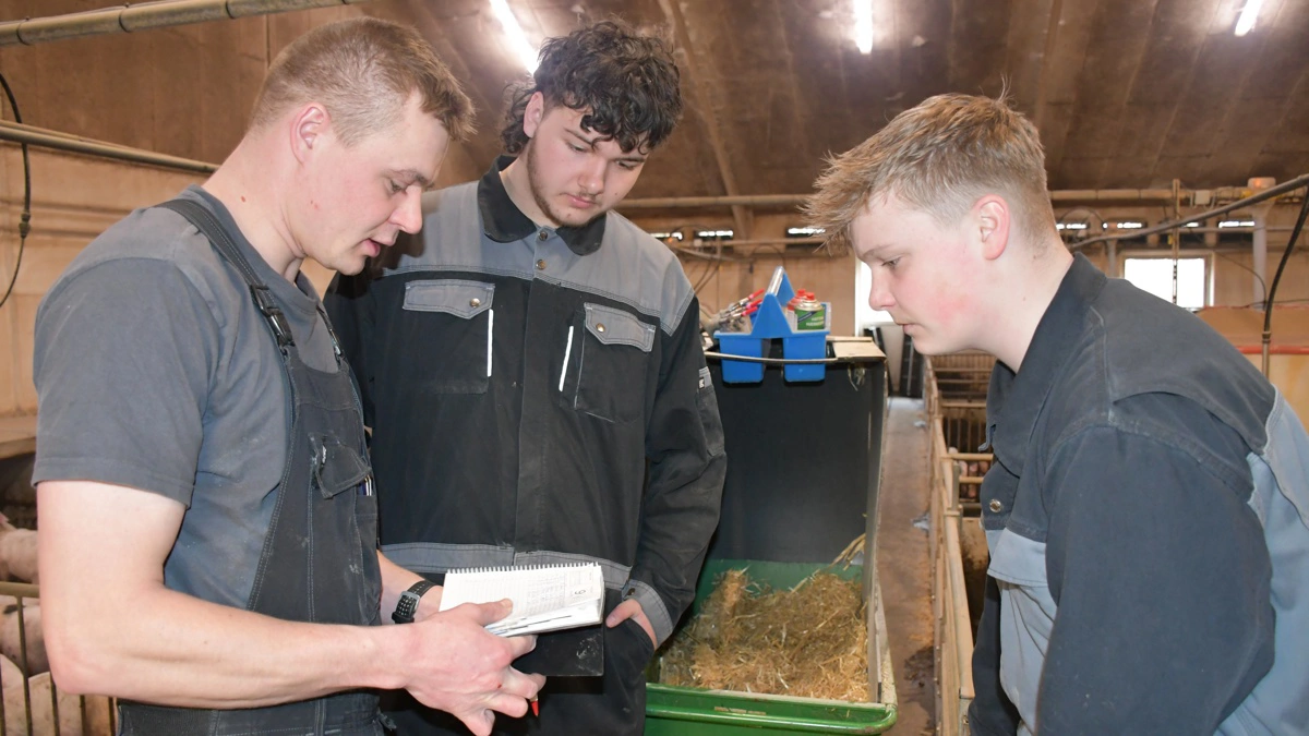 Det er Peter Jørgensen (th) og Sune Roland Jørgensen (i midten), der får til opgave at gå med medarbejder Per Schjerning (tv) i klimastalden, hvor alle grise skal tjekkes igennem.