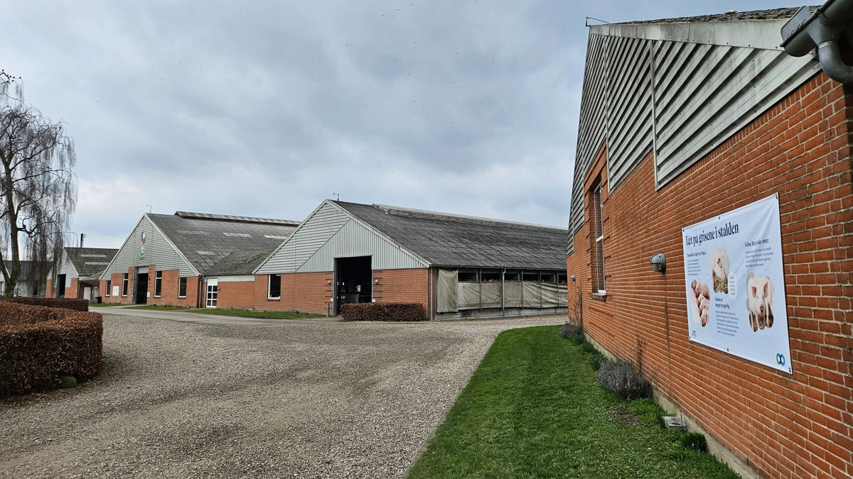 Gråsten Landbrugsskole er den eneste skole i landet med et landbrug som består af både malkekvæg, søer og mark.