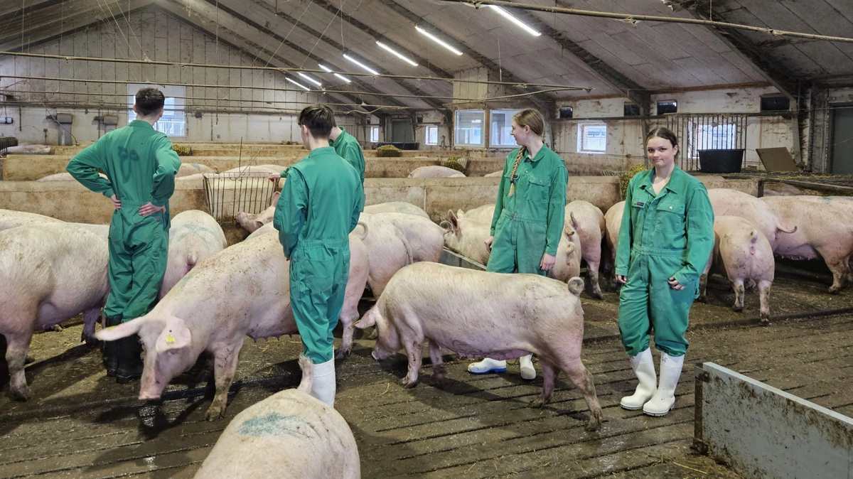 Foto: Camilla Bønløkke