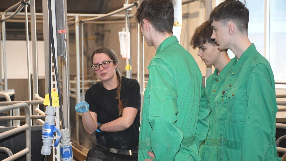 Henriette Hjuler viser her nogle af eleverne, hvordan de lægger en gummimåtte ind til en so i farestalden, og forklarer omhyggeligt, hvorfor denne so har behov for et ekstra blødt leje – og hvordan de lægger måtten ind med øje for arbejdssikkerheden i situationen.