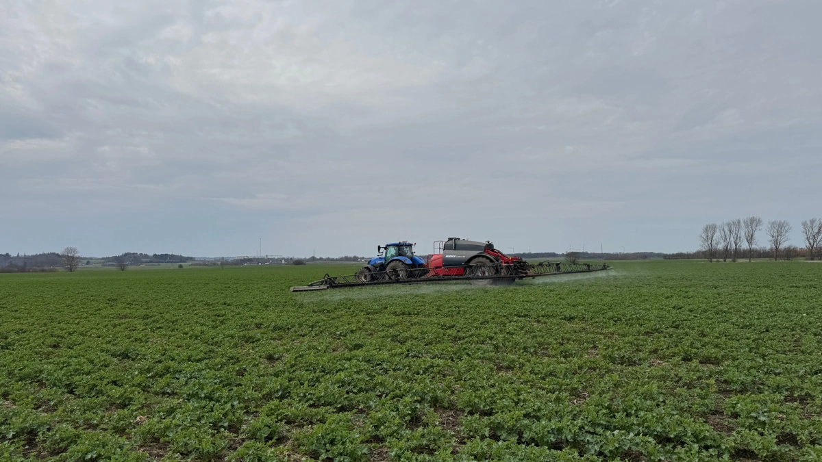 Rapsen får tildelt mangan, bor og andre mikronæringsstoffer mandag over middag. Horsch Leeb 8 GS-sprøjten er én af to ens, der blev leveret til sæson 2025, hvor arbejdsbredden gik fra 30 til 36 meter. 