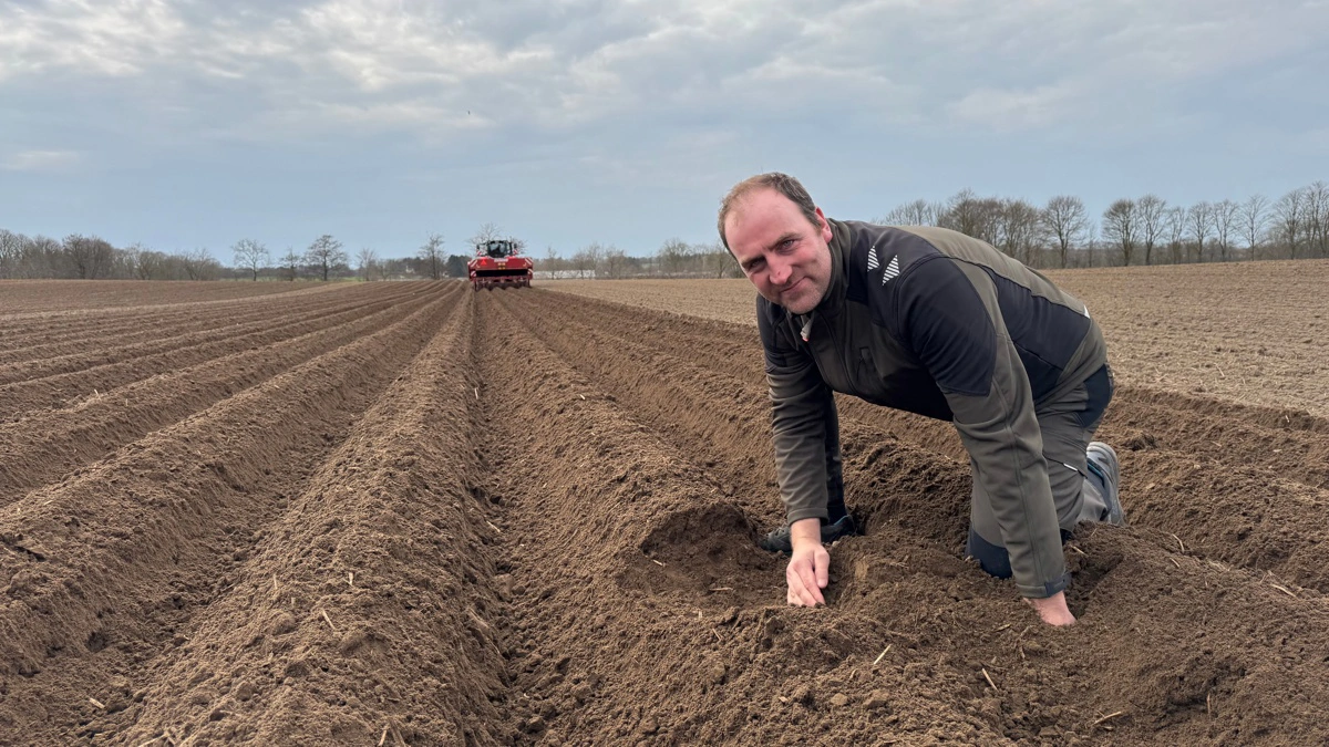 Agrio dyrker primært jorden pløjefrit, og det fungerer også godt med kartoflerne. 