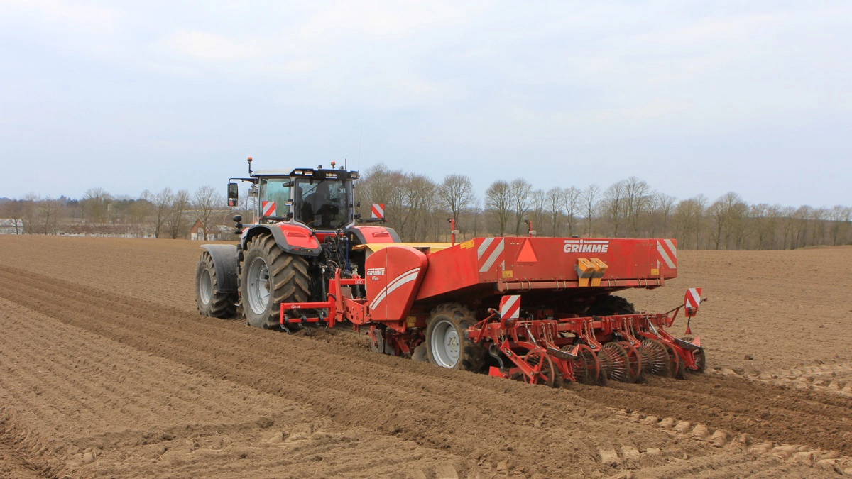 Hidtil har der været en Agrisem-grubber mellem traktor og kartoffellægger. Den er nu udskiftet med sporløsnere, og det ser ud til, at det er tilstrækkeligt til at løsne traktorens spor uden at trække nye sten op. 