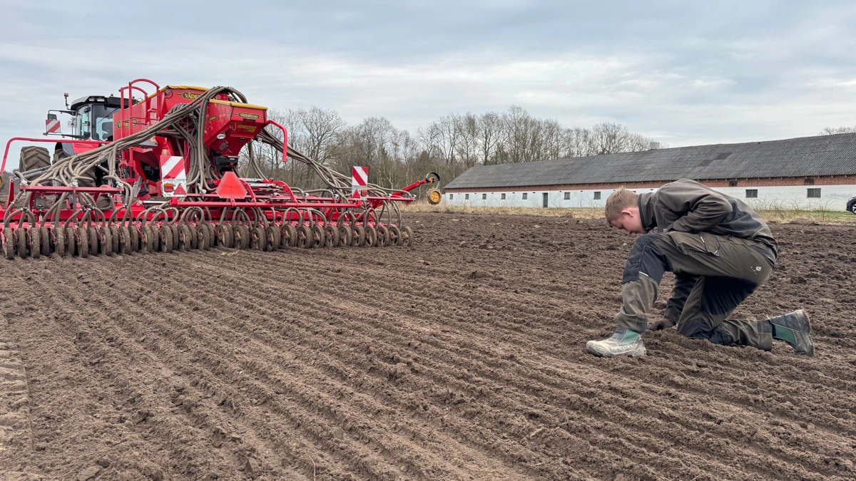 Det er ikke alle andenårs-elever i landbruget, der bliver fast mand på såmaskinen. Og Rasmus Becher er da heller ikke kommet sovende til den opgave. Fotos: Kasper Stougård 