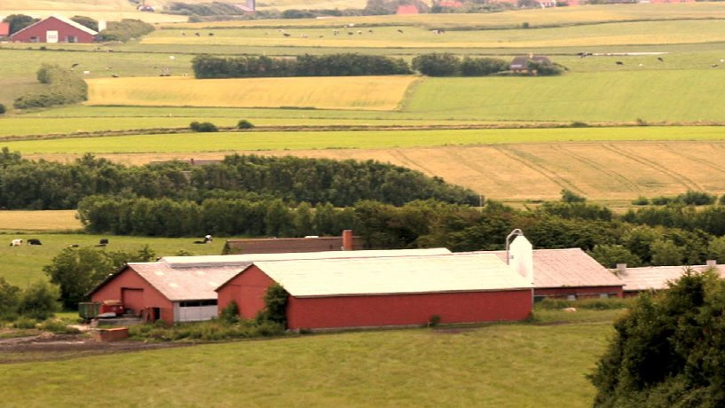 Ved salg af landbrugsejendomme er det afgørende at planlægge skatten i god tid – ellers risikerer man en væsentligt lavere gevinst end forventet. Foto: Colourbox