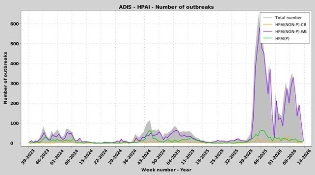 Figur 2: Registrerede antal udbrud af fugleinfluenza i Europa målt på ugebasis. Den gule kurve viser antal tilfælde blandt fugle i fangenskab. Lilla kurve viser antallet af tilfælde blandt vilde fugle. Grøn kurve viser antallet af tilfælde i fjerkræbesætninger. Kilde: ADIS (Animal Disease Information System) 