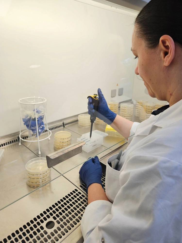 I det mikrobiologiske laboratorium arbejdes der blandt andet med kvalitetskontrol og koncentrationsmålinger. Hovedfokus er på at selektere mikroorganismer, der gror godt ved lave temperaturer ned til cirka fem grader. 