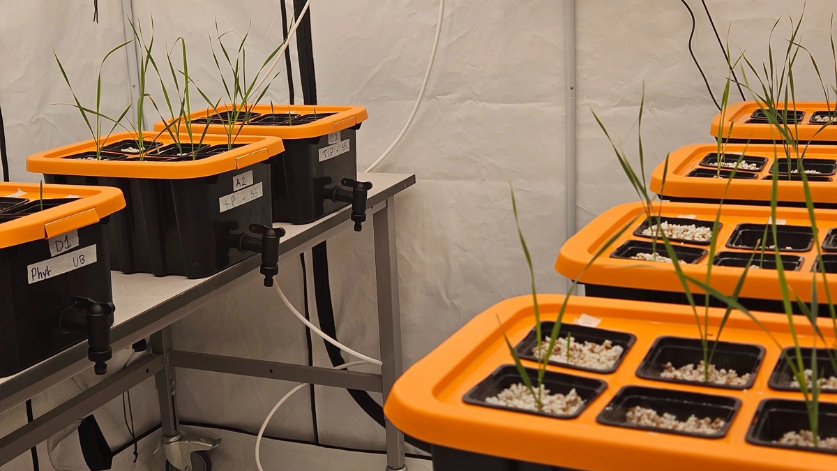 Nordic Microbes har deres eget grotelt, hvor de løbende lærer mere om produkterne. 