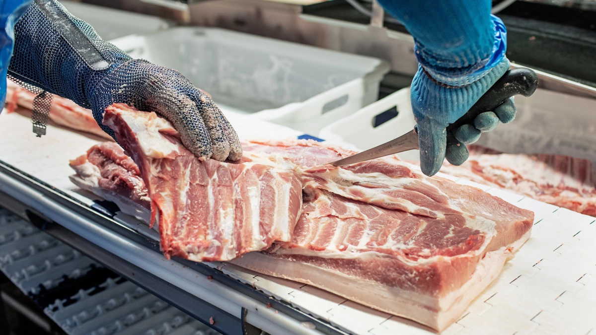 Fødevarestyrelsen slår nu fast, at Danish Crowns kampagne »Klimakontrolleret gris« var vildledende. Foto: Danish Crown