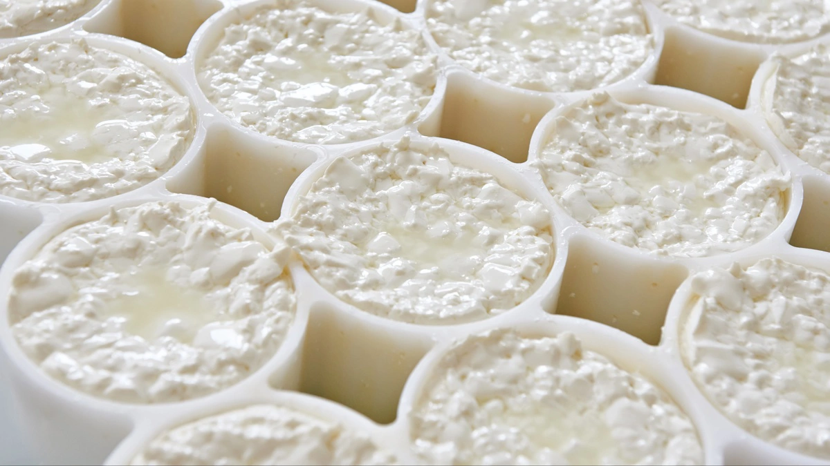 Fayrefield når rekordresultat og 2 milliarder kroner i omsætning drevet af global tilstedeværelse i et geopolitisk usikkert marked. Foto: Colourbox