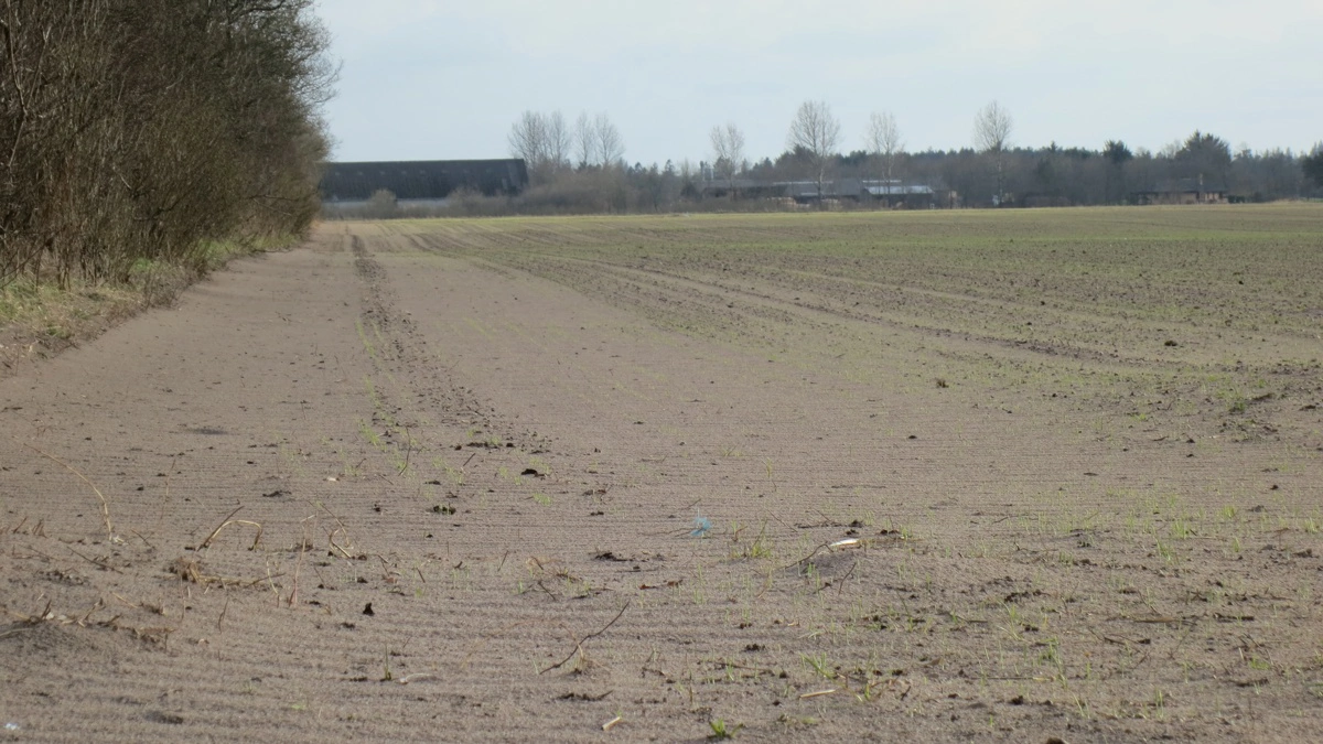 Under stormen Dave var der visse steder alvorlige problemer med sandflugt. Arkivfoto
