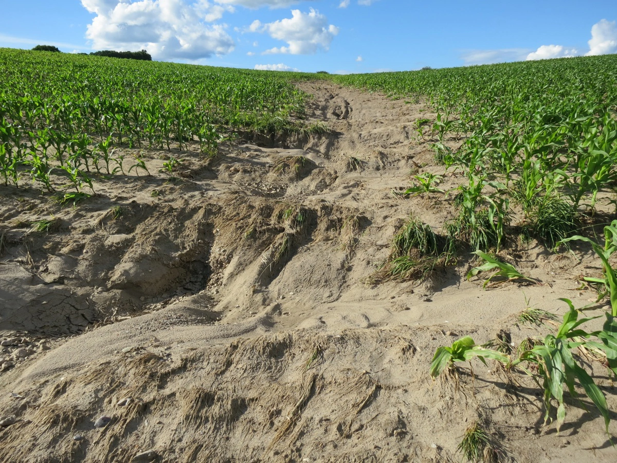 Leo Bajlum fortæller, at han oftere og oftere oplever vanderosion med dybe skyllerender til følge. Arkivfoto