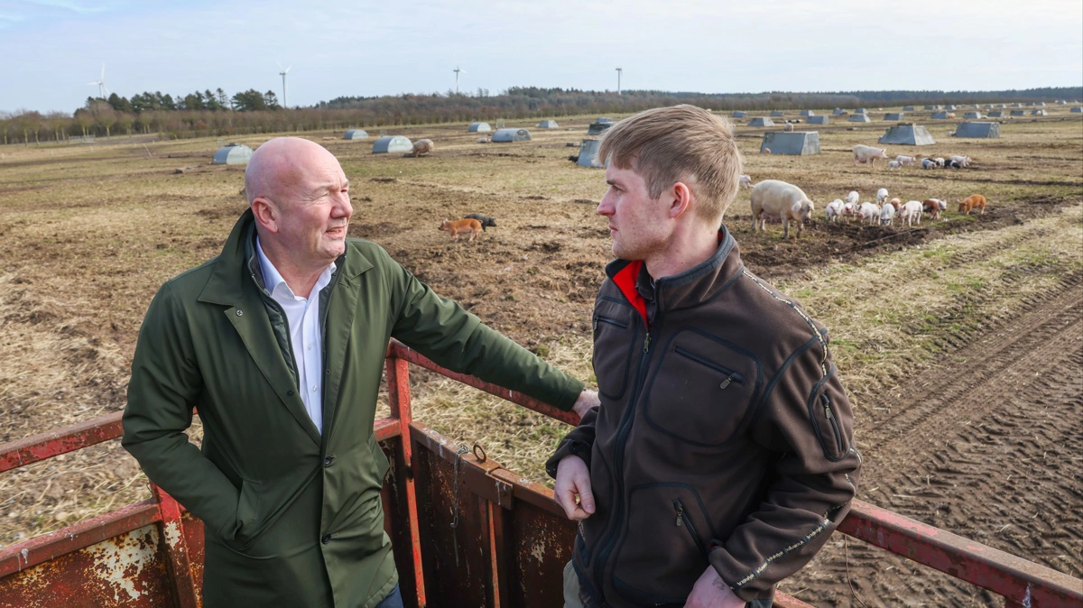 Det er Ladegaard Duroc, der skal levere størstedelen af frilandssvinekødet til Scandic-hotellerne. Her ses Karsten Varshøj Nielsen fra Scandic Danmark og Håkon Ladegaard Jensen fra Ladegaard Duroc. Foto: Scandic