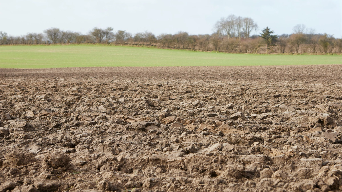 Sagen omfatter 17,5 hektar landbrugsjord i Fredericia, hvor der er stor uenighed om erstatningsniveauet. Arkivfoto: Erik Hansen