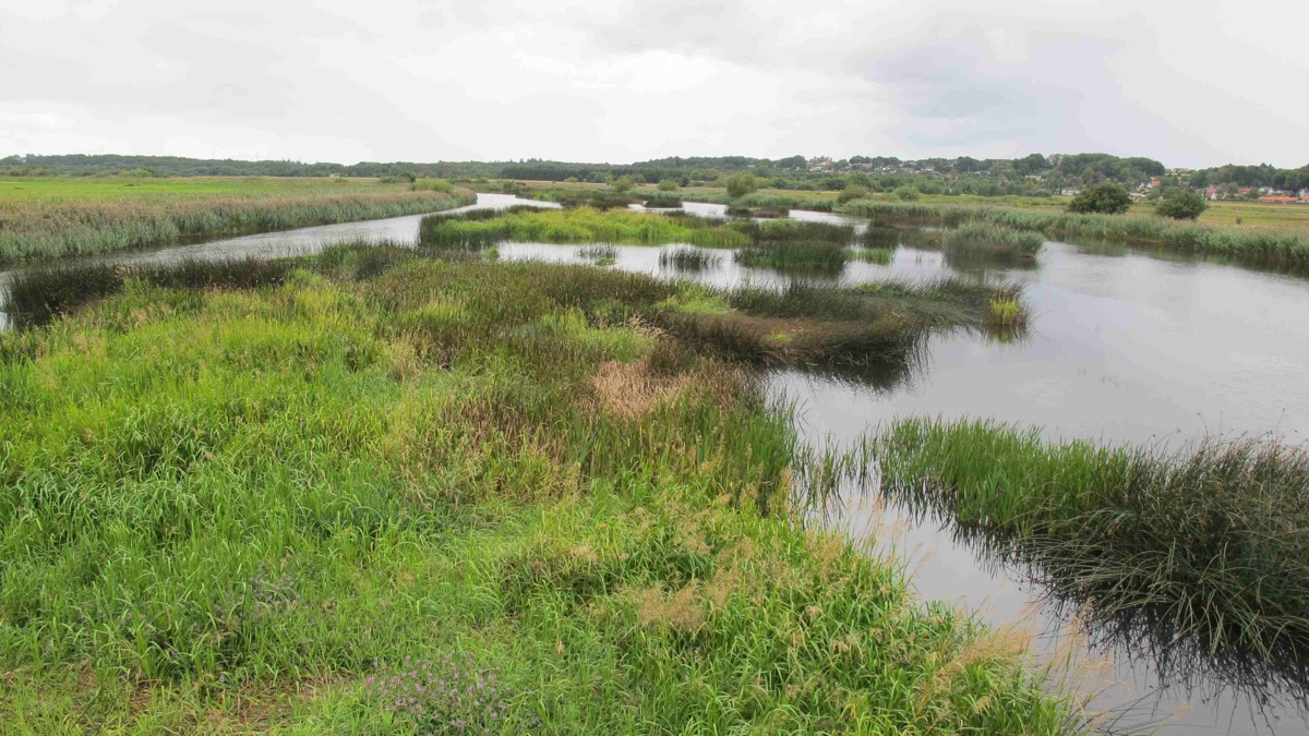 Fik medhold i klage: Kommuner har ikke vedligeholdt Gudenåen tilstrækkeligt