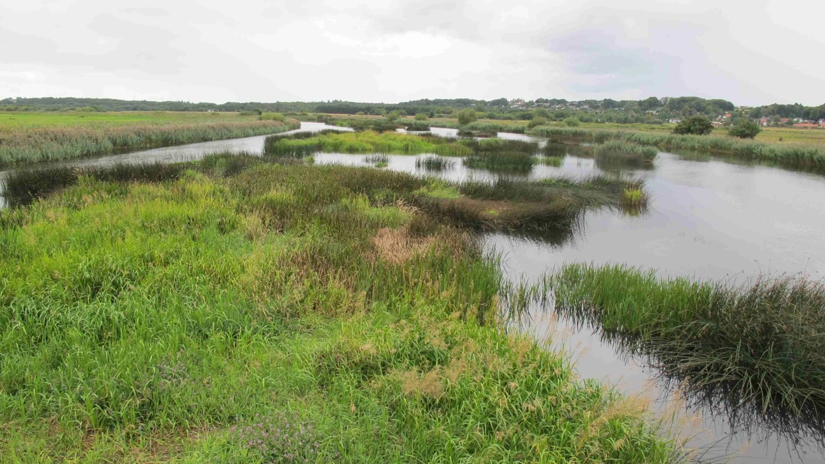 I en ny kendelse fra Natur- og Miljøklagenævnet bliver det slået fast, at Randers og Faurskov Kommuner ikke har foretaget nødvendig oprensning på en strækning af Gudenåen. Foto: Danske Vandløb