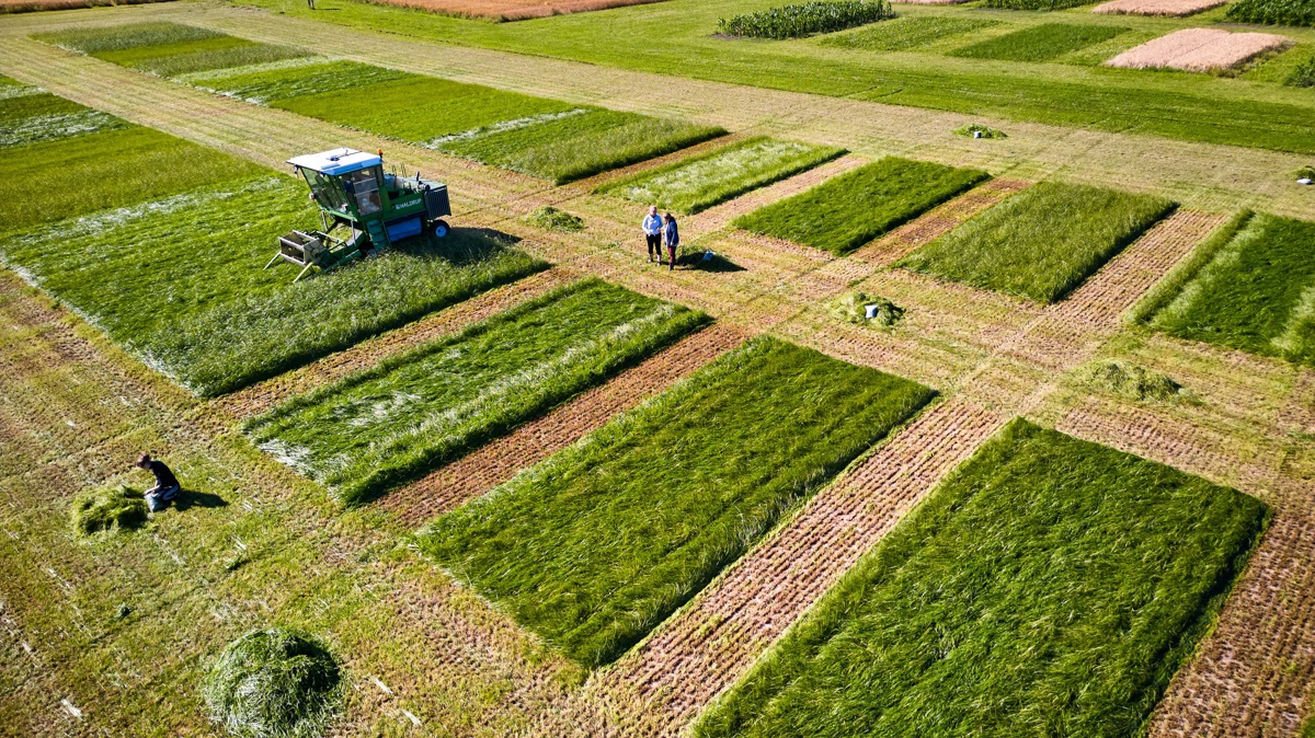 Med en samlet pulje på 4,2 millioner kroner støtter den filantropiske forening nu ti virksomheder, der arbejder med materialer baseret på danske landbrugsafgrøder som halm, græs, hamp, pil og elefantgræs. Virksomhederne arbejder med udviklingen af både elementer, plader og isolering baseret på biobaserede materialer. Foto: Steffen Stamp for Realdania