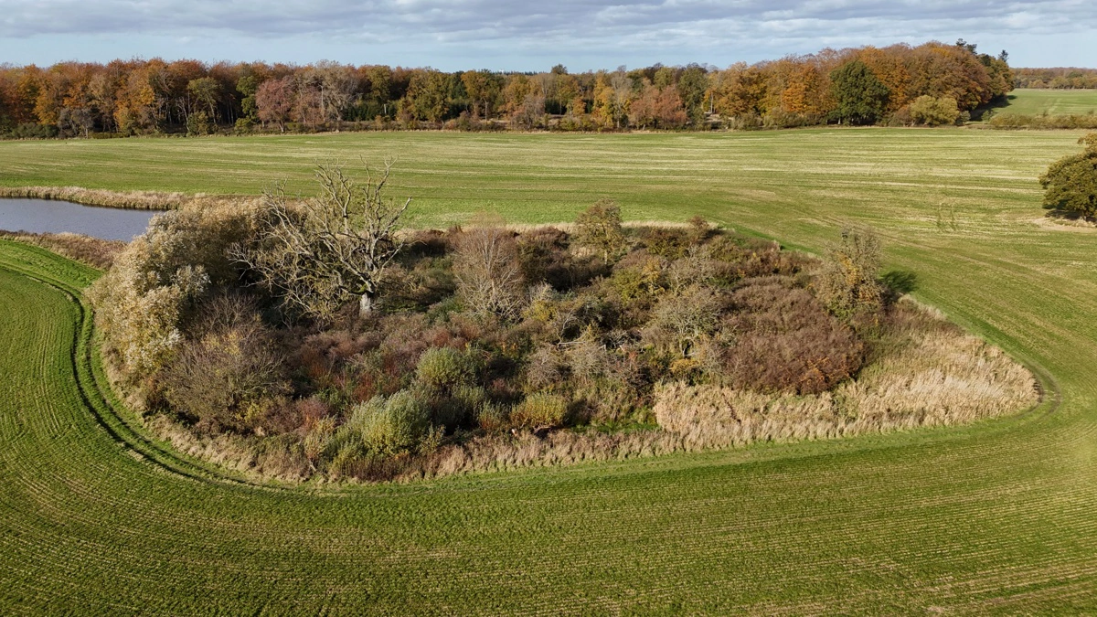 I Ringkøbing-Skjern Kommune har Styrelsen for Grøn Arealomlægning og Vandmiljø godkendt fem trepartsprojekter på i alt 1.600 hektar. Arkivfoto: Per Jørgensen