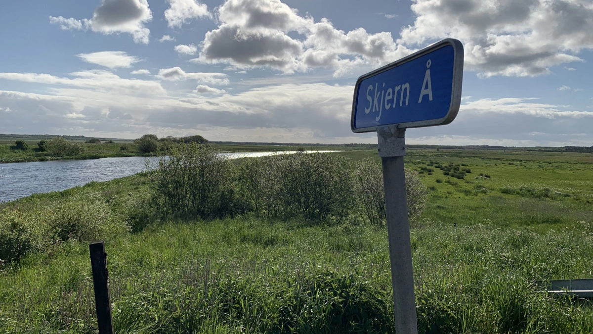 De fem lavbundsprojekter, der er blevet godkendt i Mars-systemet, ligger alle enten direkte op til eller i umiddelbar nærhed af Skjern Å. Arkivfoto: Ringkøbing-Skjern Kommune