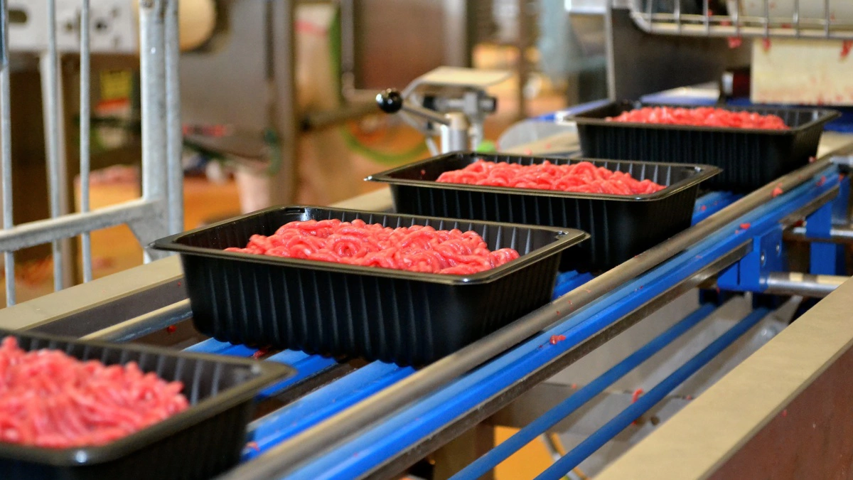 Kreaturmarkedet er stabilt med uændrede priser, mens branchen afventer forårsløft i efterspørgslen. Arkivfoto