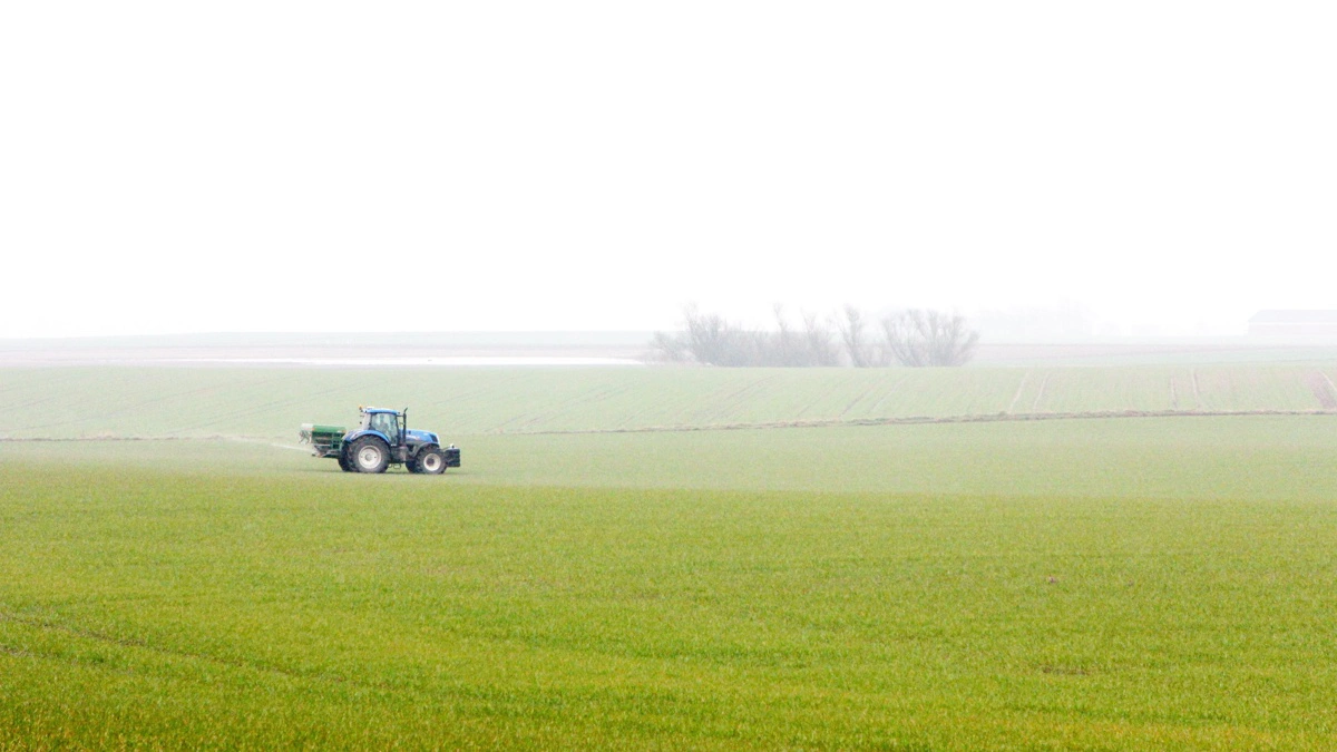 Væksten i vintersæden har indtil nu været meget sparsom, men med udsigt til højere temperaturer er det tid til anden tildeling i både hvede og rug. Foto: Bøje Østerlund