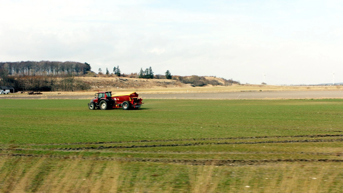 Væksten i vintersæden har indtil nu været meget sparsom, men med udsigt til højere temperaturer er det tid til anden tildeling i både hvede og rug. Foto: Bøje Østerlund