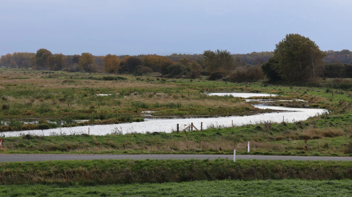 Ifølge Agillix er sammenhængen mellem landbrug og drikkevand mere kompleks, end den politiske debat giver indtryk af. Fotos: Agillix